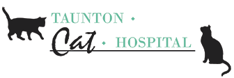 Link to Homepage of Taunton Cat Hospital